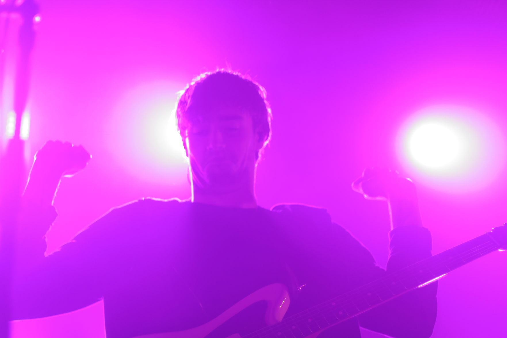HippoCampus2019_05.JPG